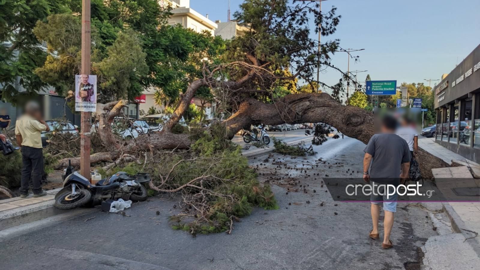 πτώση δέντρου στο Ηράκλειο