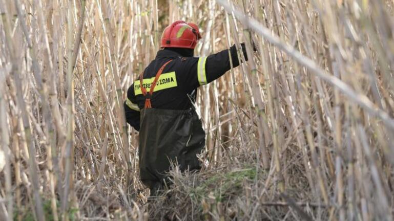 Λήξη συναγερμού στη Θεσσαλονίκη: Εντοπίστηκε σώα η 8χρονη που χάθηκε κατά τη διάρκεια σχολικής εκδρομής
