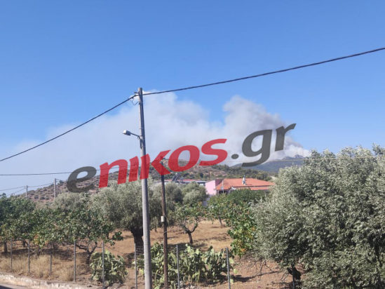 Φωτιά στη Νέα Πέραμο