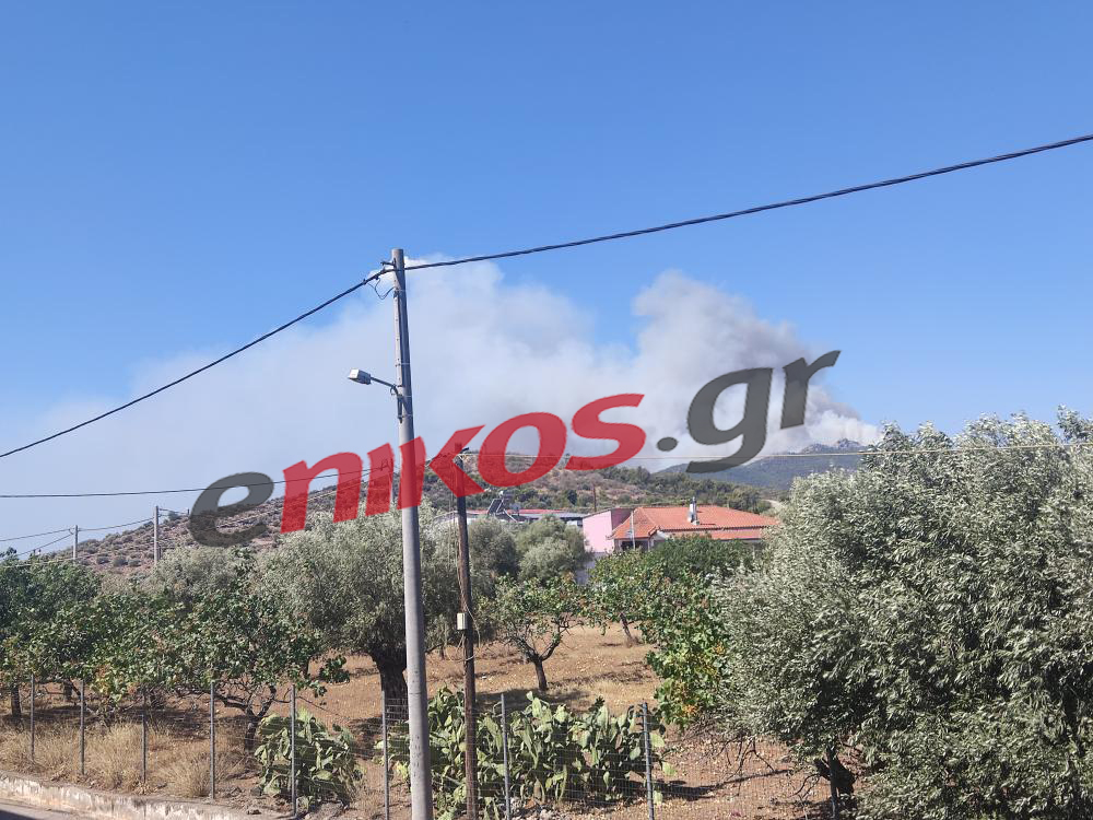 Φωτιά στη Νέα Πέραμο