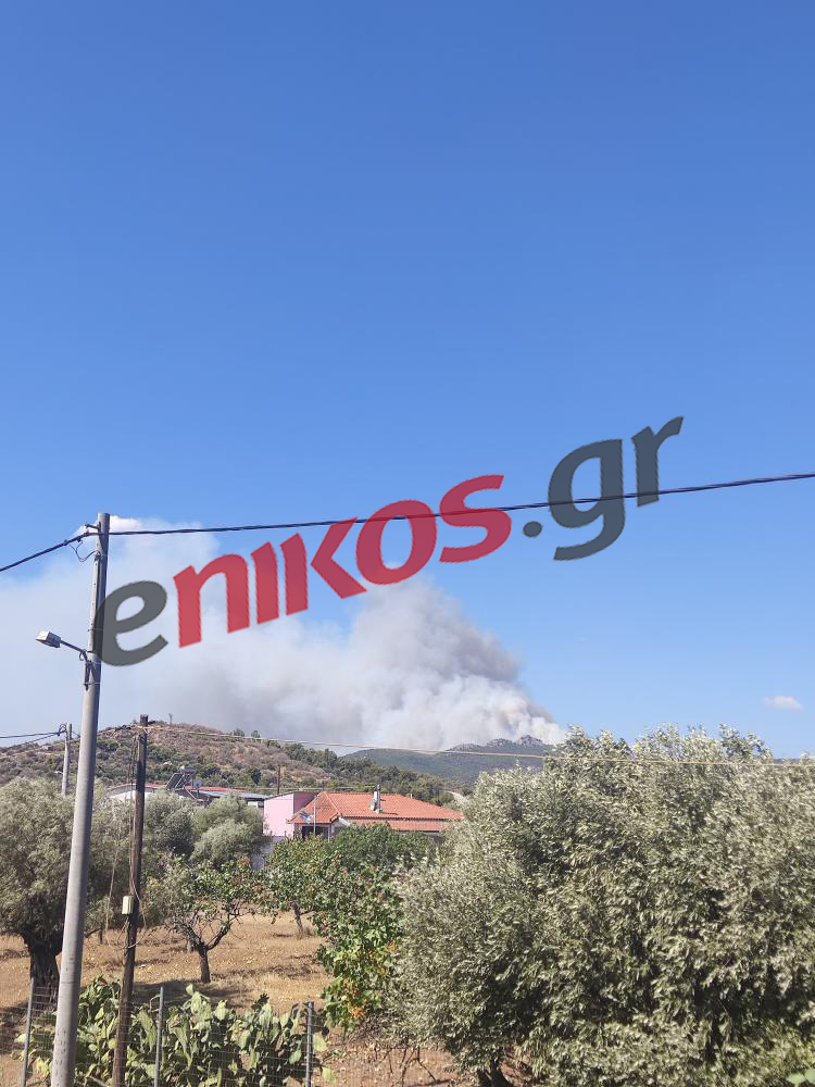 Φωτιά στη Νέα Πέραμο από Μάνδρα