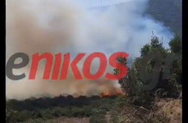 Φωτιά στην Πύλο