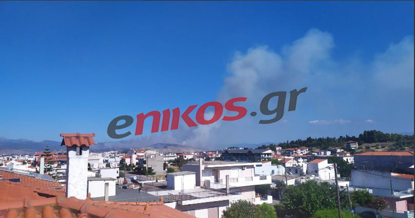 Φωτιά στη Χαλκίδα