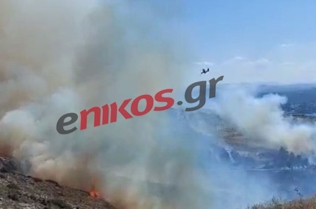 Φωτιά στη Χαλκίδα