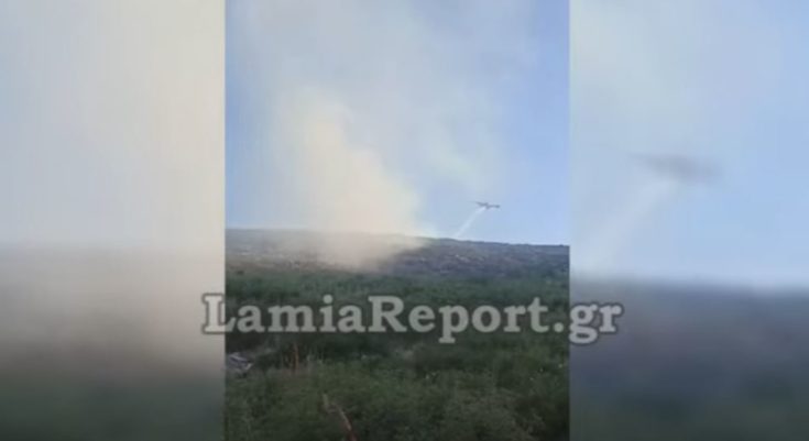 φωτιά Δομοκός