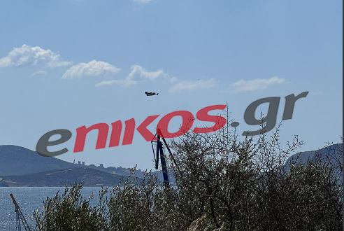 Φωτιά στη Νέα Πέραμο