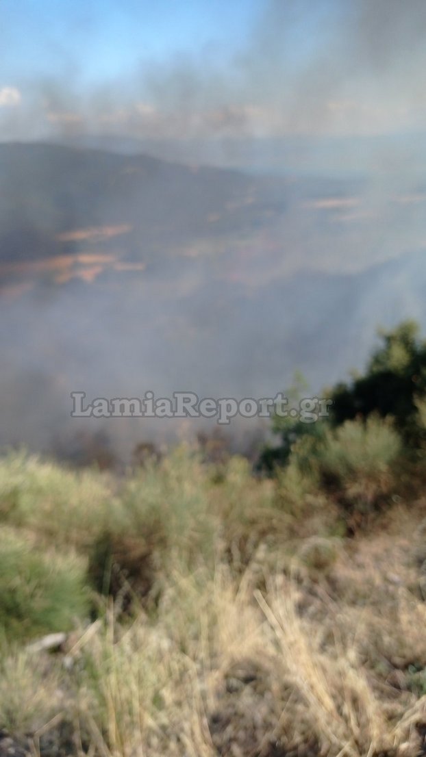 φωτιά Φθιώτιδα 