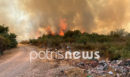 Ηλεία: Σε ύφεση η φωτιά στην Σπιάτζα