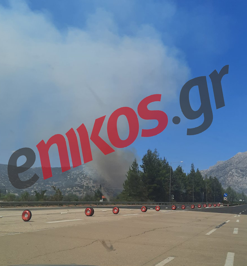 φωτιά Αρκαδία