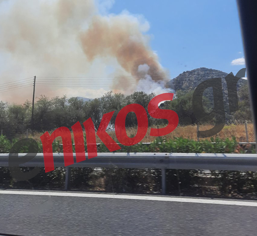 φωτιά Αρκαδία