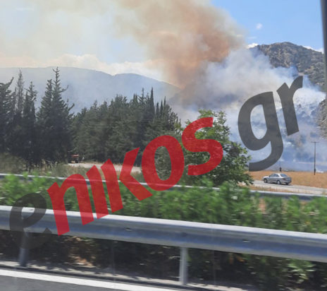 φωτιά Αρκαδία