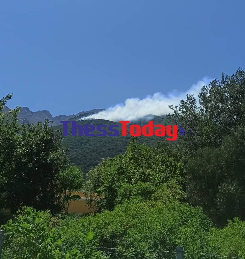 φωτιά Σαμοθράκη 