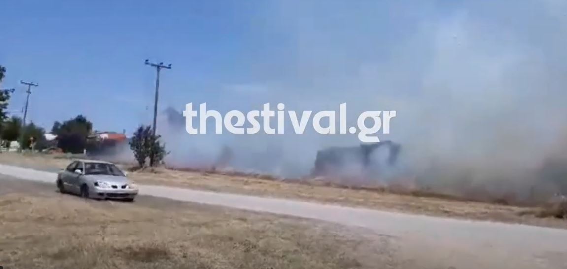 Φωτιά ΤΩΡΑ στη Χαλκιδική – Κοντά σε σπίτια οι φλόγες – ΒΙΝΤΕΟ