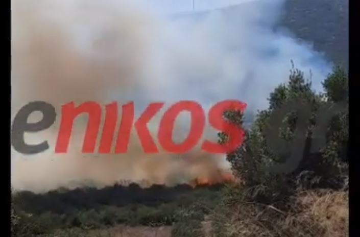 Φωτιά στην Πύλο