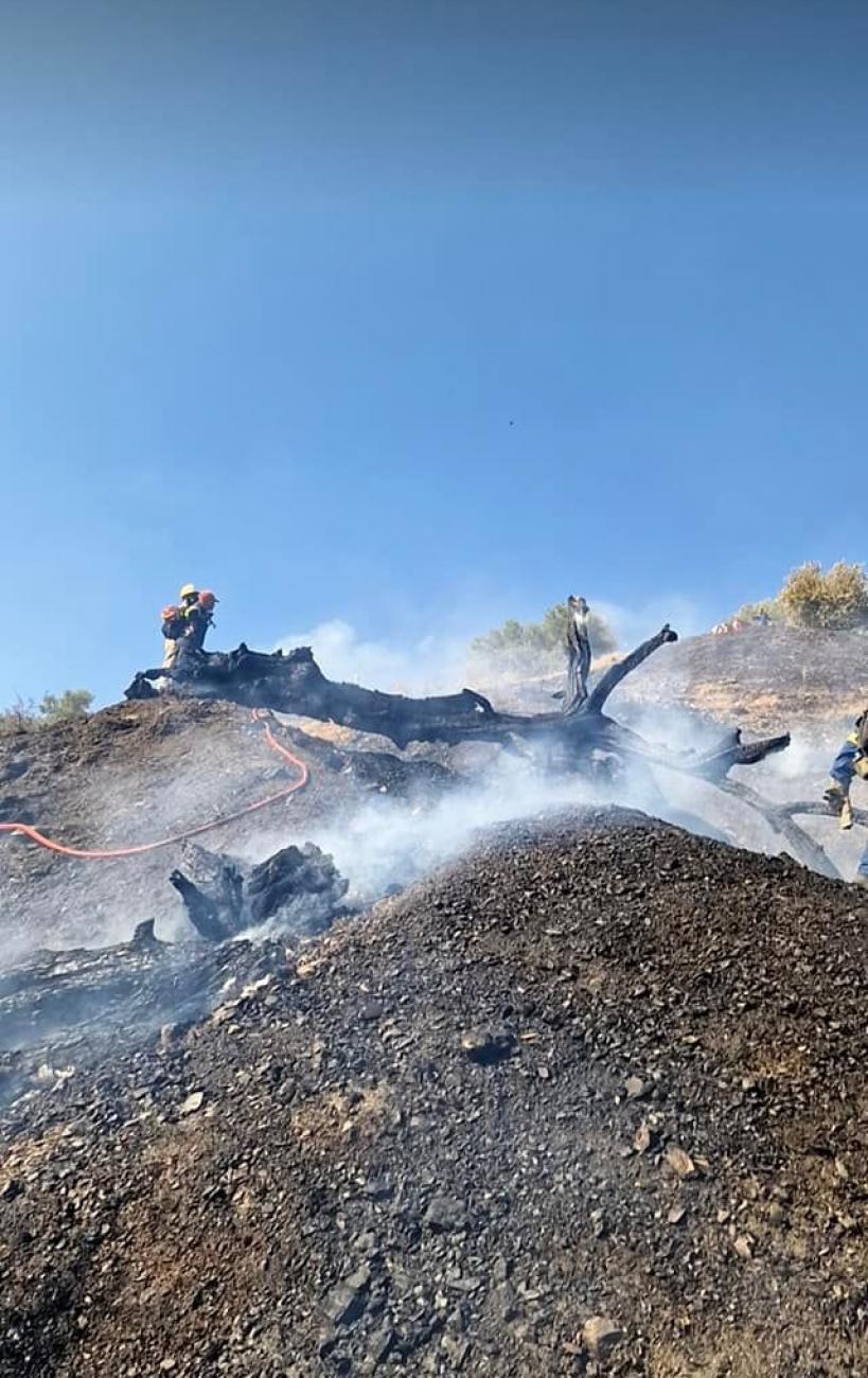 φωτιά στην Κρήτη