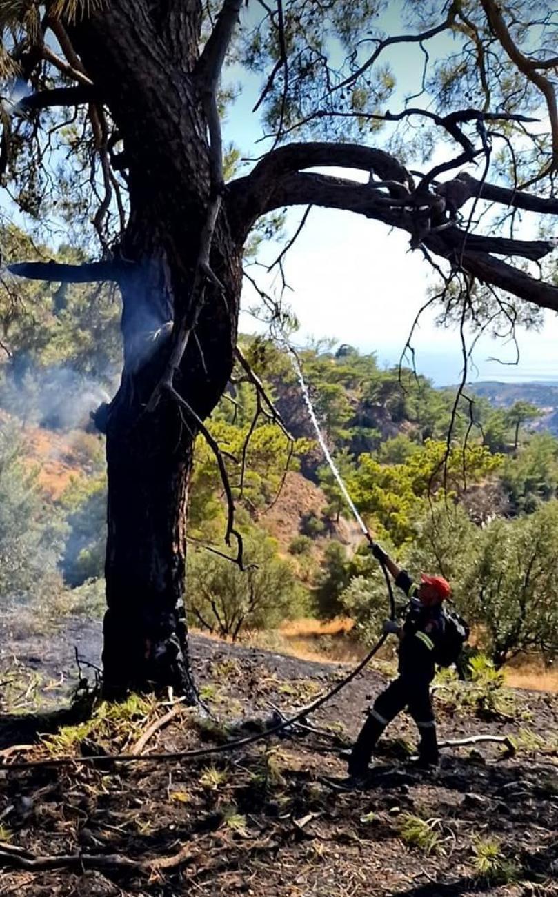 φωτιά στην Κρήτη