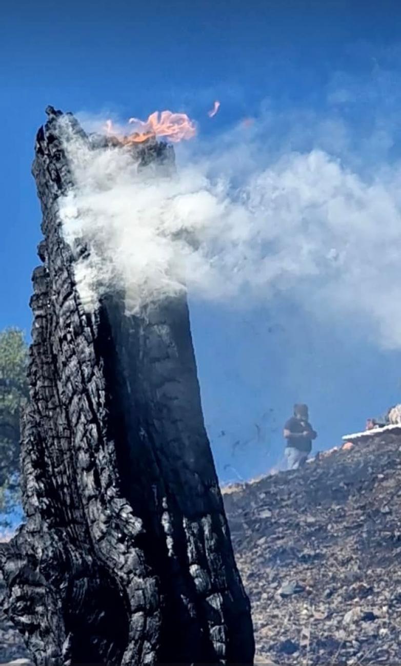 φωτιά στην Κρήτη