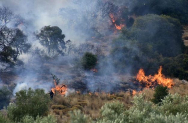 φωτιά Δίστομο