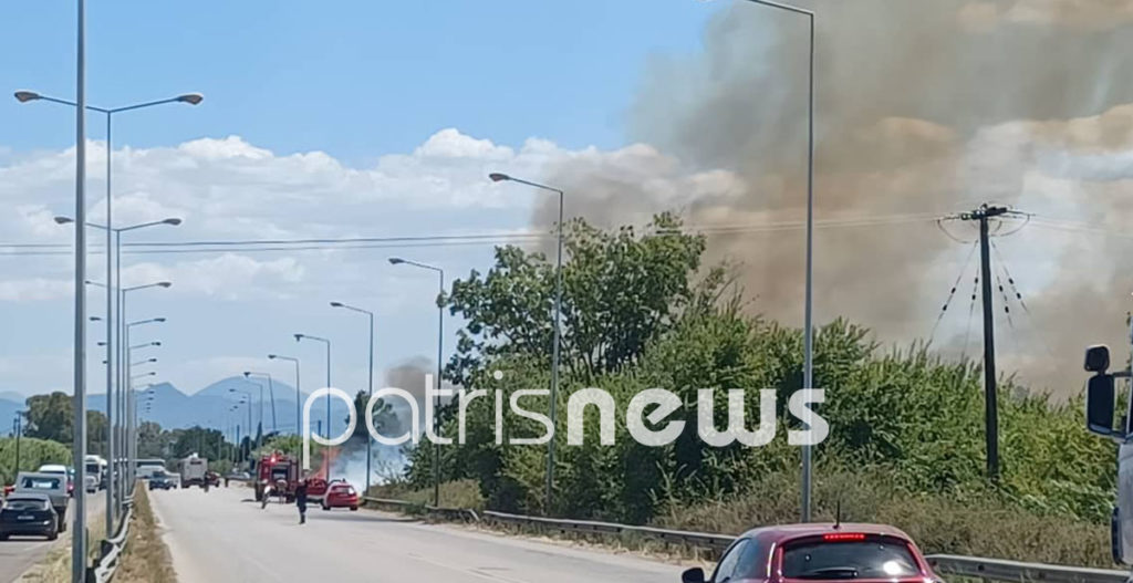 φωτιά Ηλεία