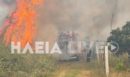 Φωτιά στην Ηλεία: Η στιγμή που οι φλόγες κυκλώνουν όχημα της Πυροσβεστικής – Δείτε ΒΙΝΤΕΟ