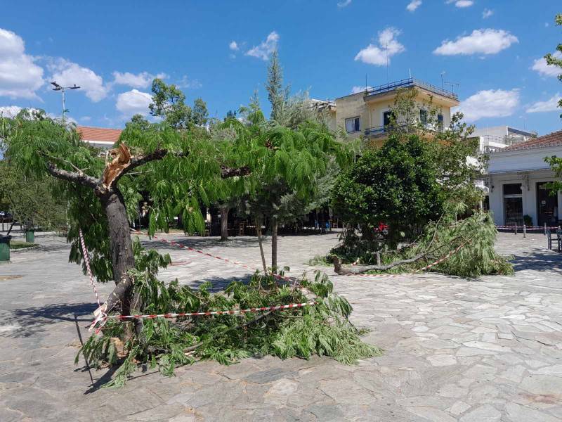 Καλαμάτα: Ζημιές από… καλοκαιρινό ανεμοστρόβιλο στην πλατεία Οθωνος – ΦΩΤΟ και ΒΙΝΤΕΟ