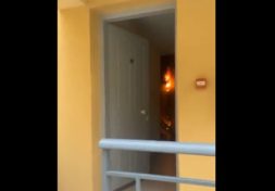 Κέρκυρα τουρίστριες