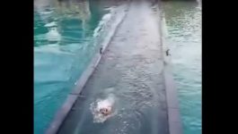 σκύλος Κόρινθος