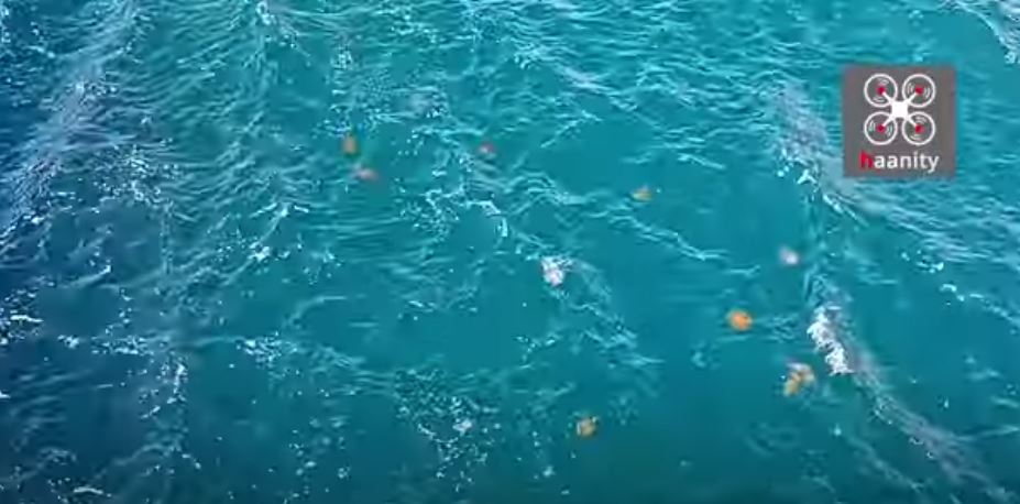 μέδουσες Χαλκίδα