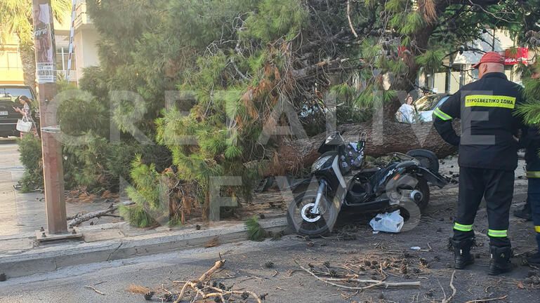 Τραγωδία στην Κρήτη: Νεκρός o οδηγός μηχανής που καταπλακώθηκε από δέντρο – ΦΩΤΟ