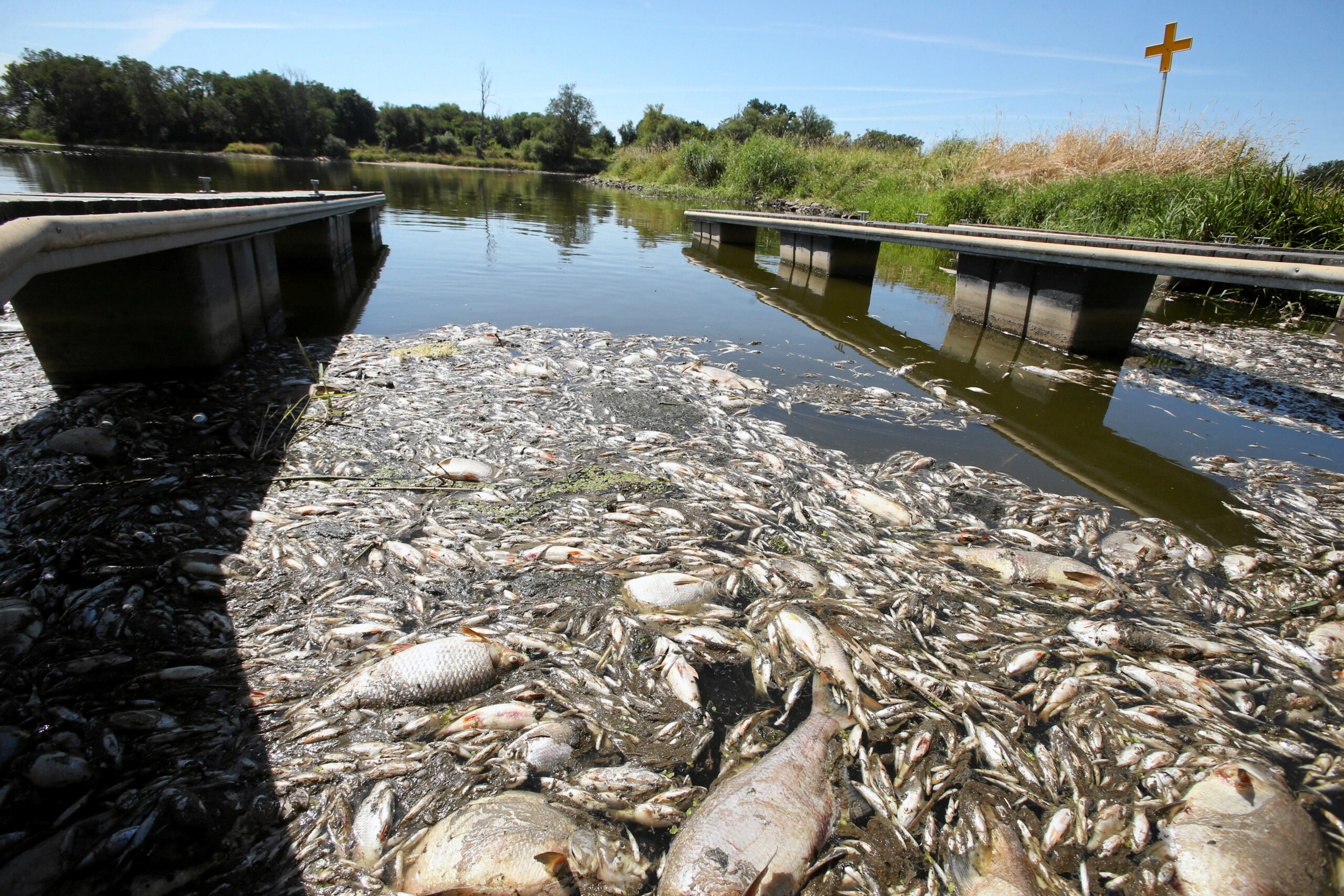 νεκρά ψάρια στον ποταμό Οντέρ