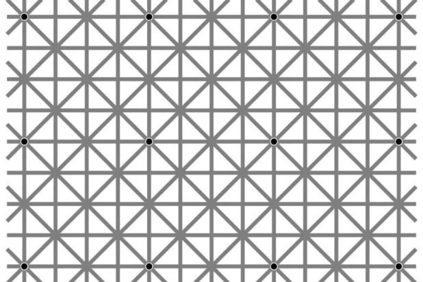 Οπτική ψευδαίσθηση