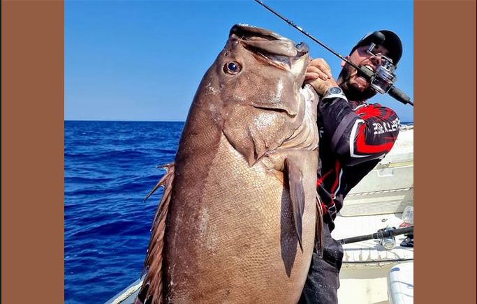 Χανιά- ψάρι