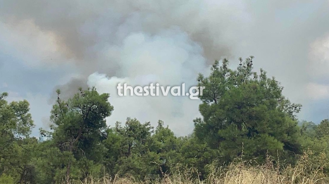 Θεσσαλονίκη: Φωτιά στο Σέιχ Σου – Μεγάλη κινητοποίηση της Πυροσβεστικής – ΦΩΤΟ και ΒΙΝΤΕΟ