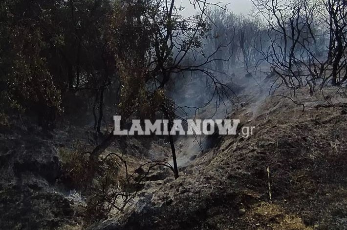 Φθιώτιδα: Οριοθετήθηκε η φωτιά στην Συκά Υπάτης