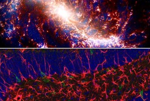 εγκέφαλος- σύμπαν