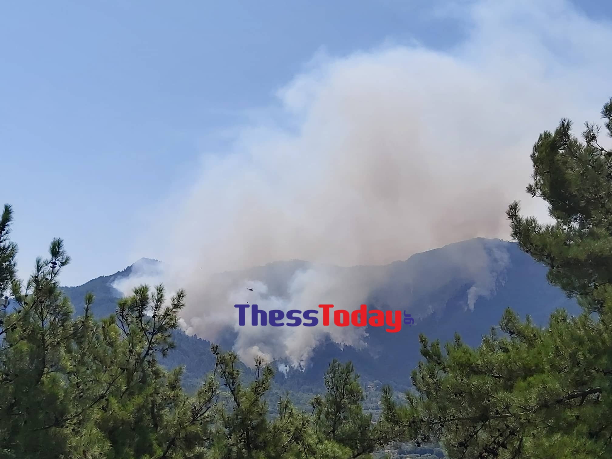 φωτιά Θάσος