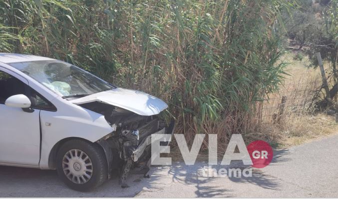 Τροχαίο στις Πετριές Ευβοίας