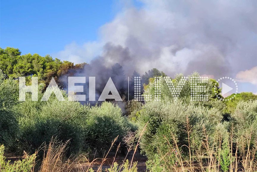 φωτιά στην Ηλεία