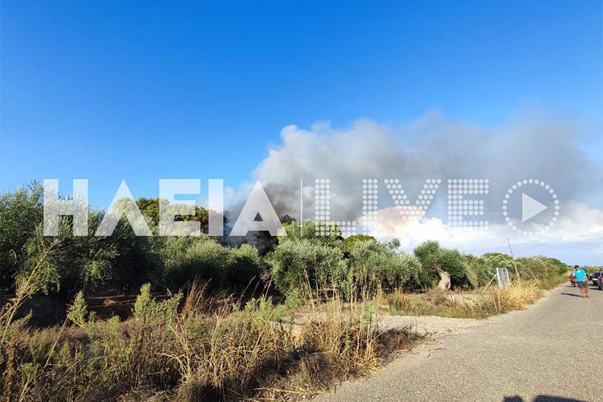 φωτιά στην Ηλεία