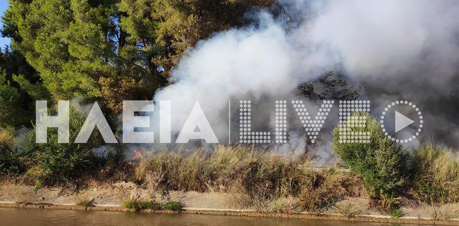 φωτιά στην Ηλεία