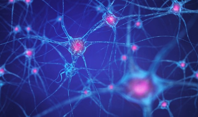 Σχέδιο δράσης για την ανάπτυξη Δικτύου Υπηρεσιών Υγείας για την Πολλαπλή Σκλήρυνση