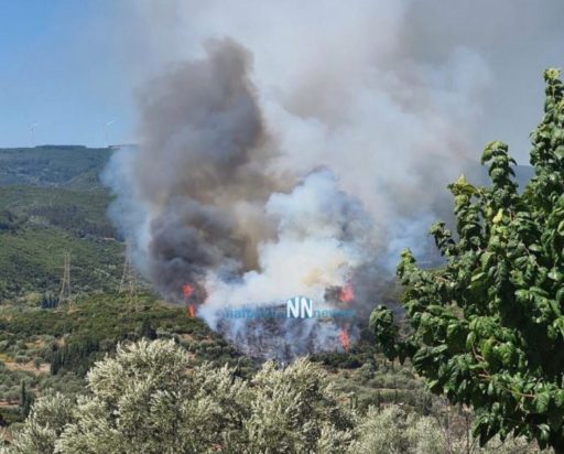 φωτιά στη Ναυπακτία