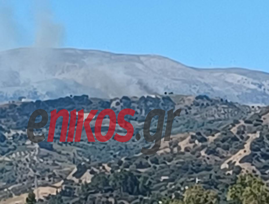 φωτιά στην Αιγιαλεία