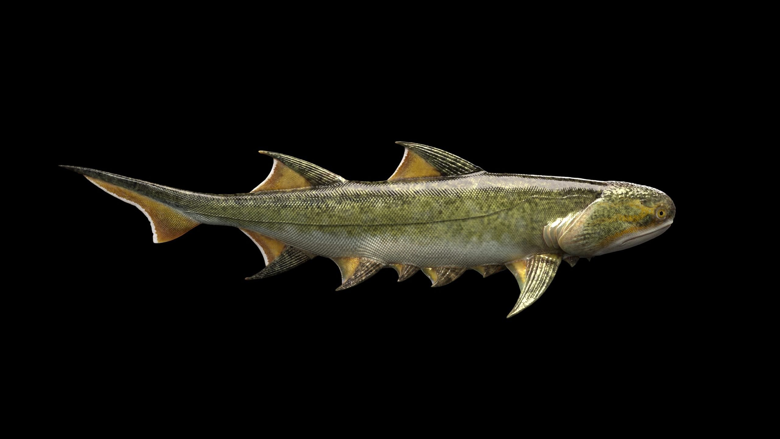 Τα αρχαιότερα σαγόνια που έχουν ποτέ βρεθεί: Όσα ξέρουμε για το ψάρι Fanjingshania