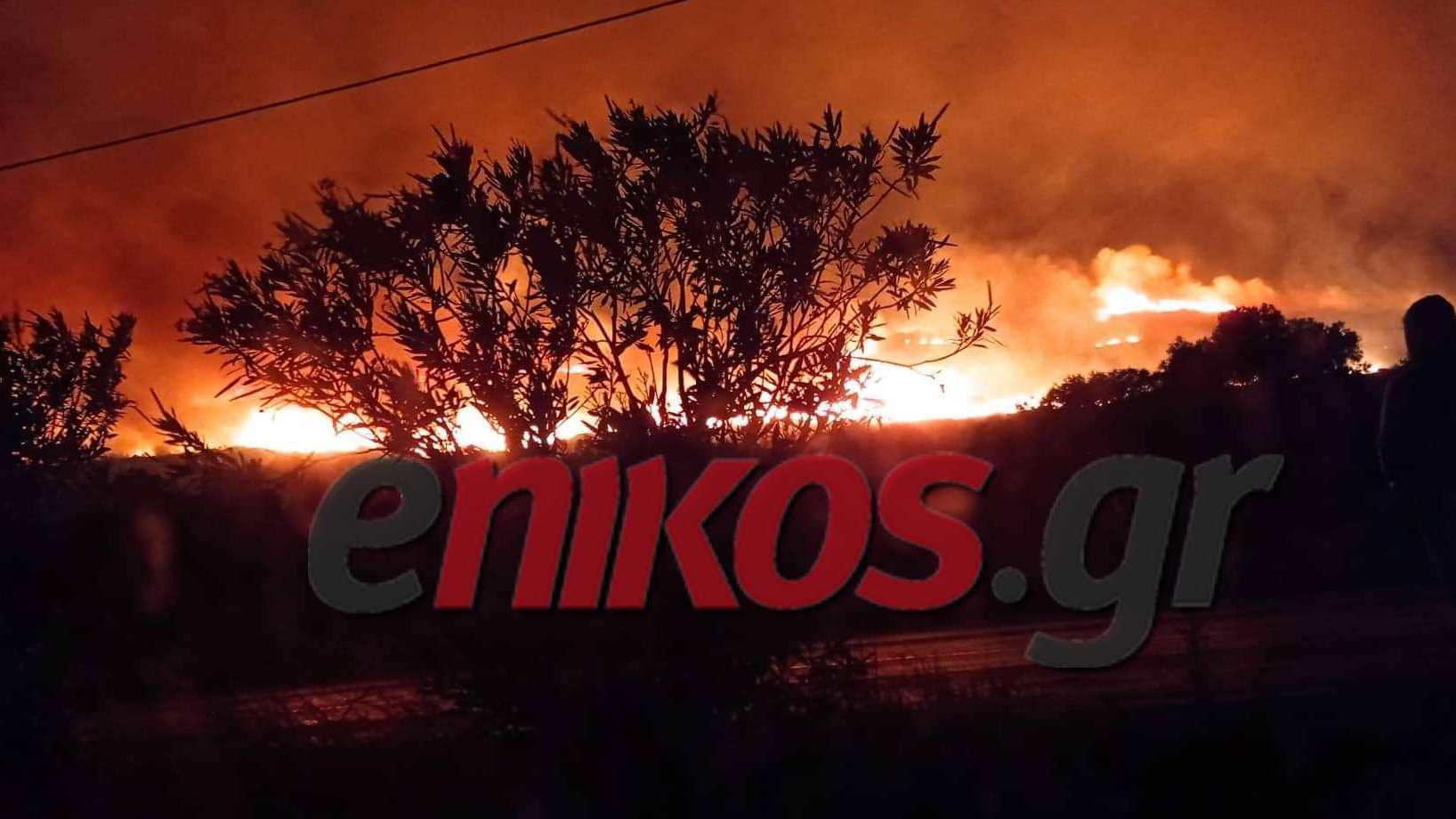 Μεγάλη φωτιά στην Κεφαλονιά – Βρίσκεται κοντά σε κατοικημένη περιοχή – ΦΩΤΟ αναγνώστη