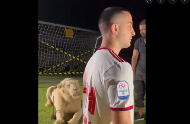 Κώστας Μανωλάς