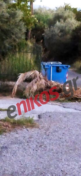 Σχολείο Αγρίνιο