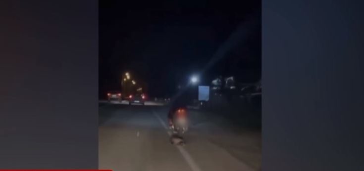 κακοποίηση ζώου στην Καβάλα