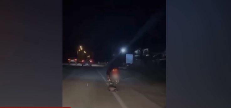 κακοποίηση ζώου στην Καβάλα