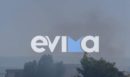 Φωτιά στην Χαλκίδα: Πυκνοί καπνοί σκέπασαν την πόλη – Οι πρώτες εικόνες